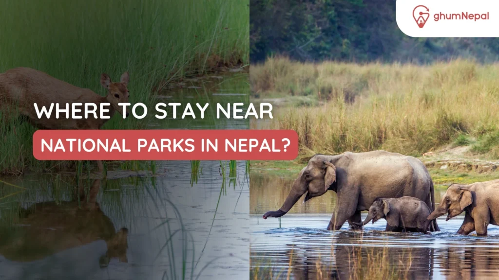 stay-near-national-parks-nepal